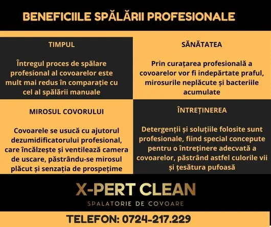 Spalatorie de Covoare Bucuresti