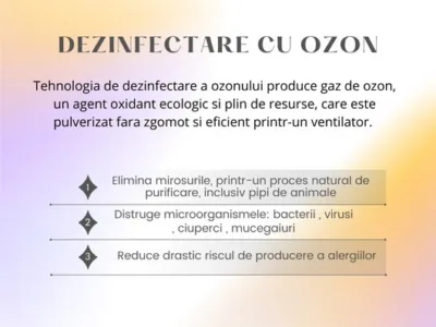 Spalatorie de Covoare Bucuresti