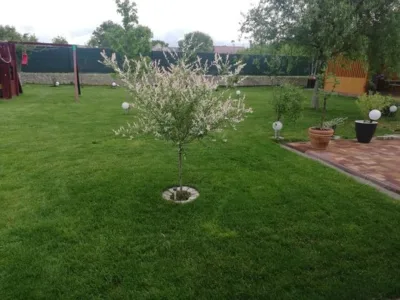Companie de peisagistica Ilfov