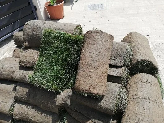 Companie de peisagistica Ilfov