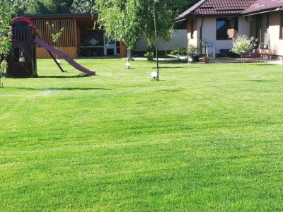 Companie de peisagistica Ilfov