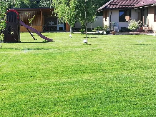 Companie de peisagistica Ilfov