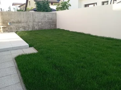 Companie de peisagistica Ilfov