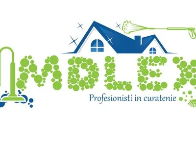 Profesionisti in curatenie