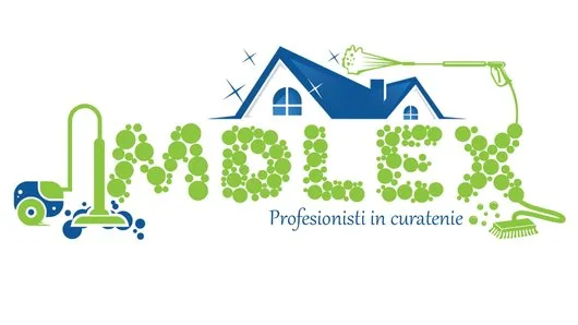 Profesionisti in curatenie