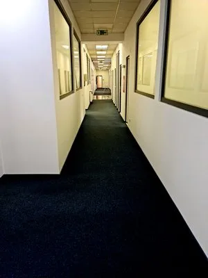 Profesionisti in curatenie