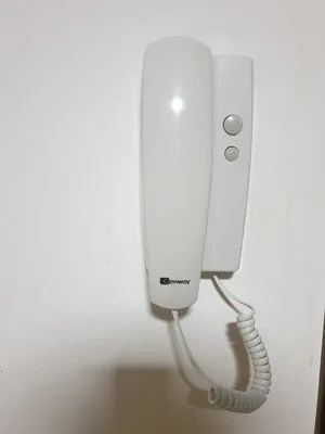 Securitate Electronica