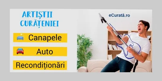Curatare tapiterii - reconditionare piele