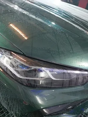 AlexSim Detailing Auto
