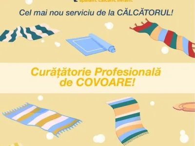 Curatatorie - spalatorie - calcatorie Voluntari