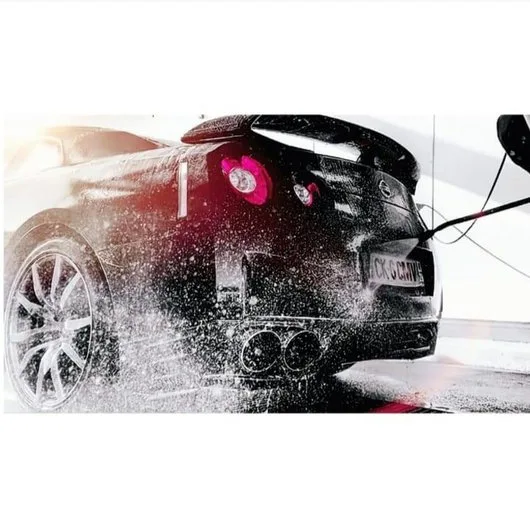 Wolf Garage Detailing Auto