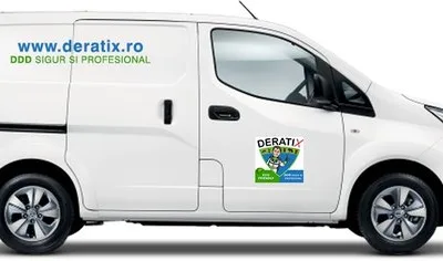 Servicii DDD Bucuresti