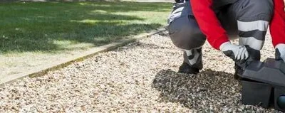 Servicii DDD Bucuresti