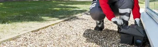 Servicii DDD Bucuresti