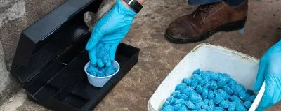 Servicii DDD Bucuresti