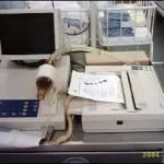 Consultanta pentru afaceri si management Ilfov