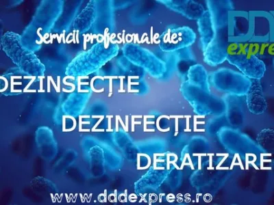 DDD Express