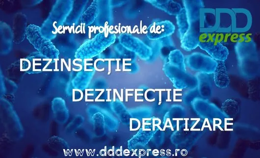 DDD Express