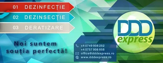 DDD Express