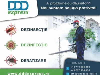 DDD Express