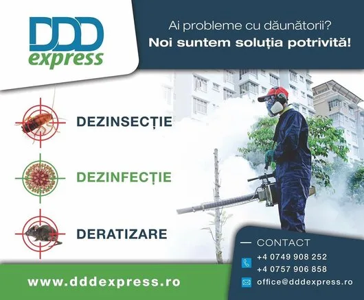 DDD Express
