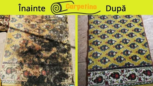 Spalatorie covoare Bucuresti