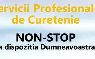 Servicii profesionale de curatenie
