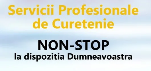 Servicii profesionale de curatenie