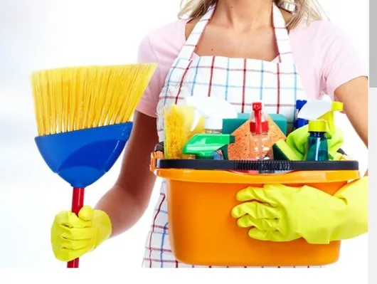 Servicii profesionale de curatenie