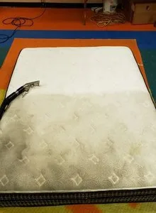 Saltele la domiciliu