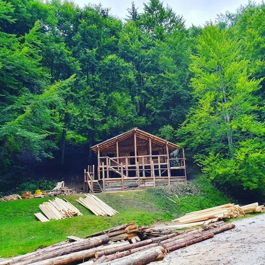 Companie de constructii