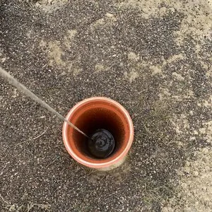 Denisipari Ilfov si in tara