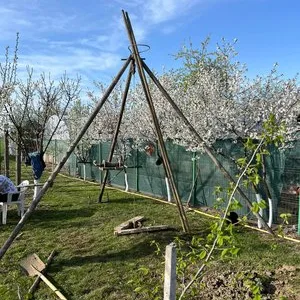 Denisipari Ilfov si in tara