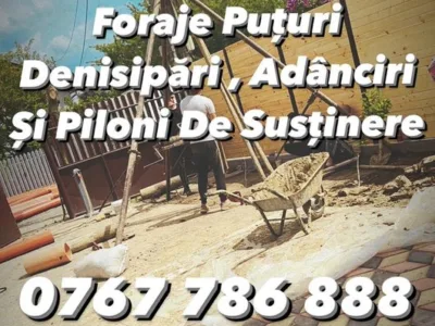 Denisipari Ilfov si in tara