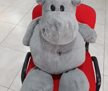 Spalatorie - calcatorie Bragadiru