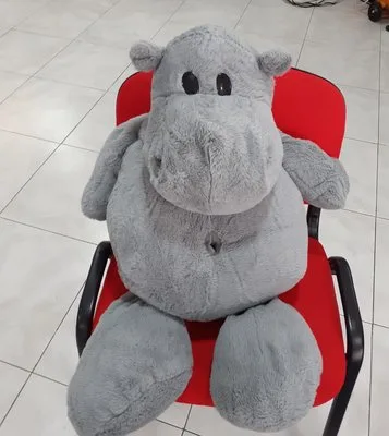 Spalatorie - calcatorie Bragadiru