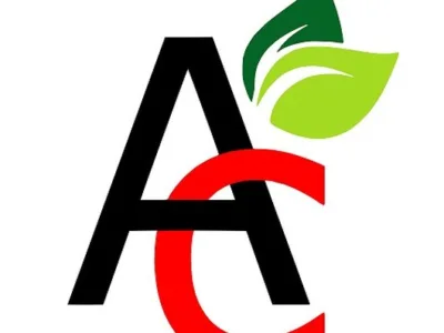Proiectare - amenajari peisagistice