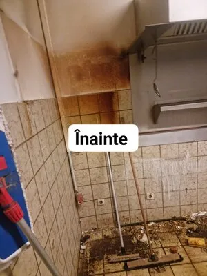 Servicii de curatenie