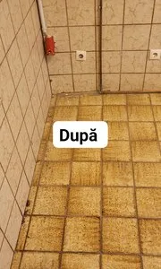 Servicii de curatenie