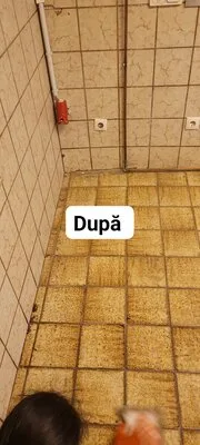 Servicii de curatenie