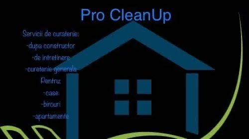 Servicii de curatenie