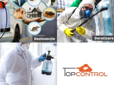 Servicii deratizare - dezinfectie si dezinsectie - Bucuresti