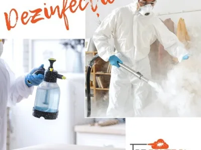 Servicii deratizare - dezinfectie si dezinsectie - Bucuresti