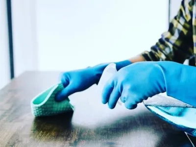 Servicii deratizare - dezinfectie si dezinsectie - Bucuresti