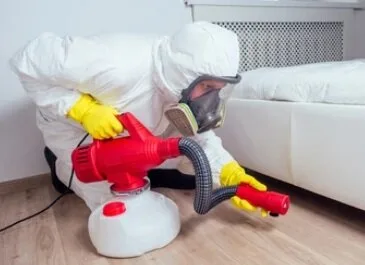 Servicii deratizare - dezinfectie si dezinsectie - Bucuresti