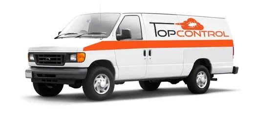 Servicii deratizare - dezinfectie si dezinsectie - Bucuresti