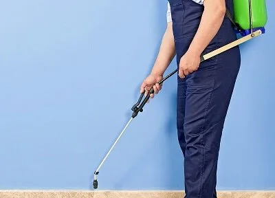 Servicii DDD Bucuresti