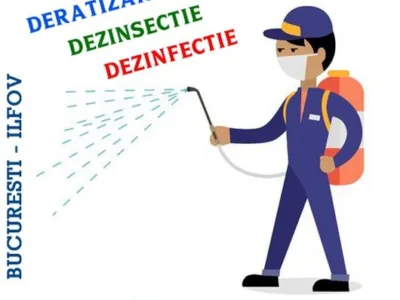 Servicii DDD Bucuresti