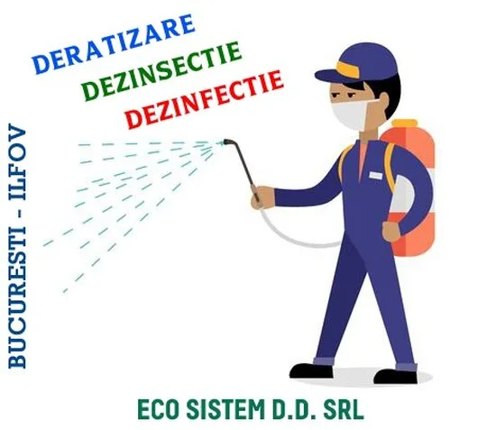 Servicii DDD Bucuresti