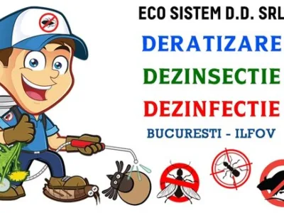 Servicii DDD Bucuresti